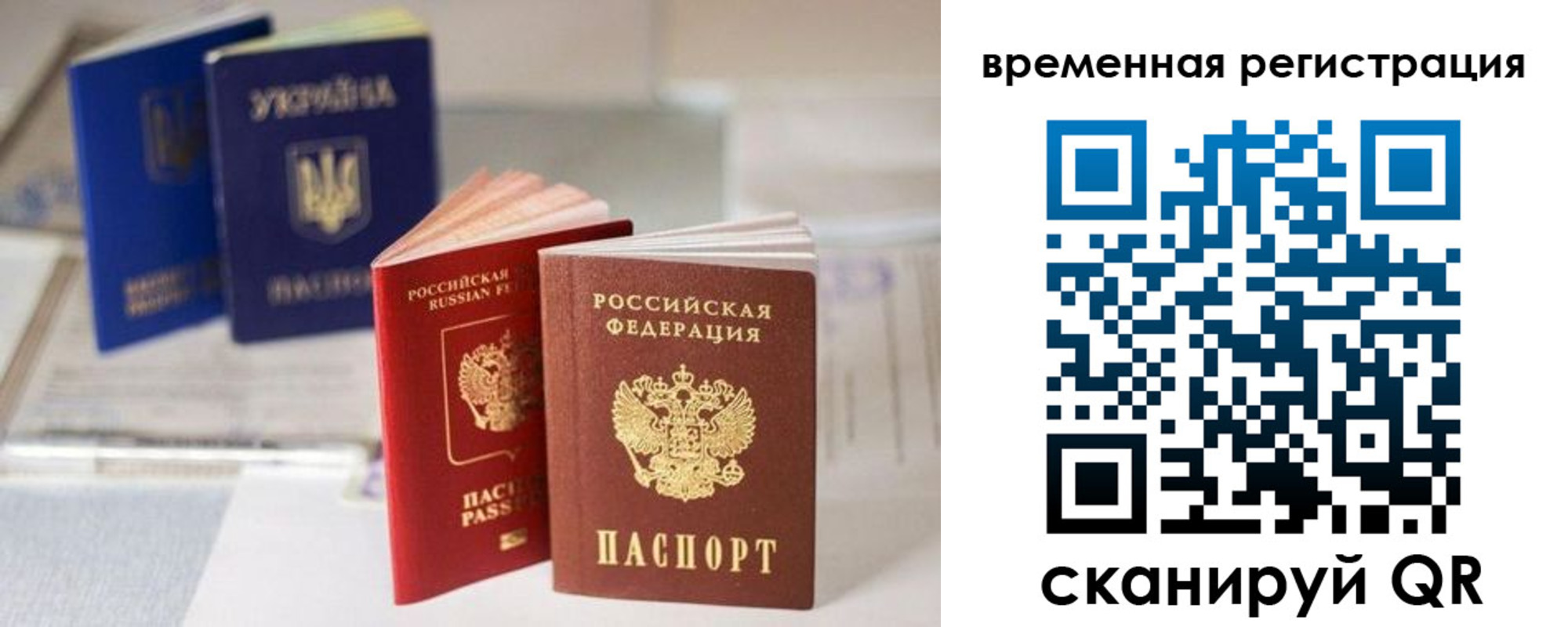 прописка поиск в Болотном